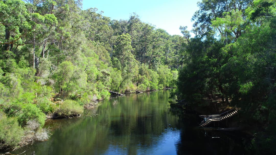 Djeran in Pemberton: Calm Nights, Camping, and Stargazing Under the Karri Canopy