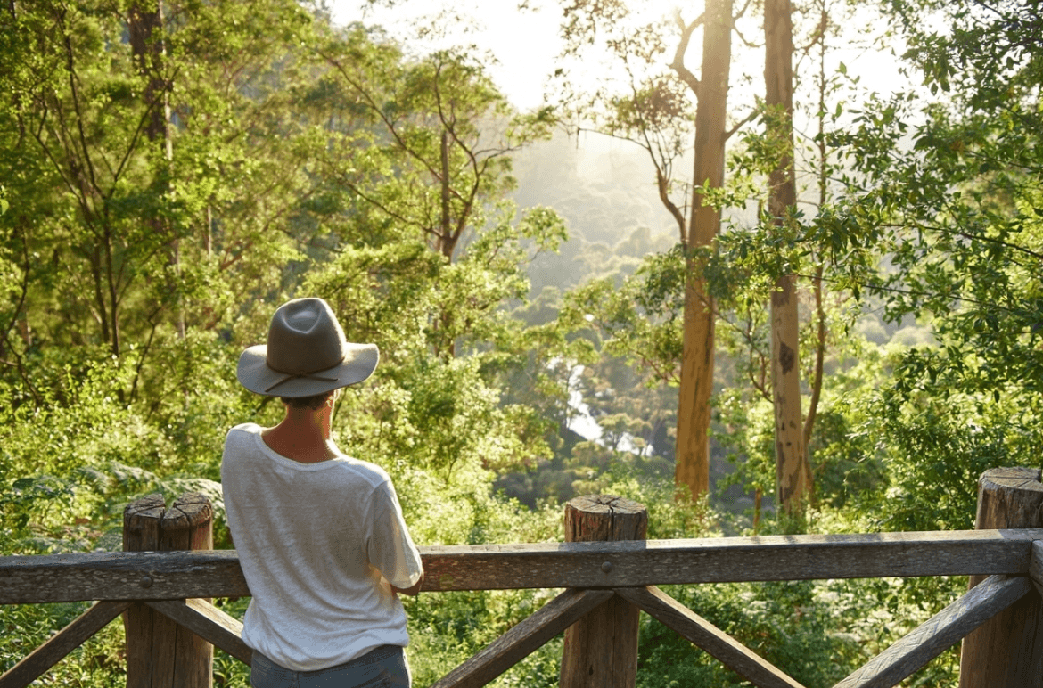 A woman wearing a hat stands behind a wooden fence looking out onto the forest