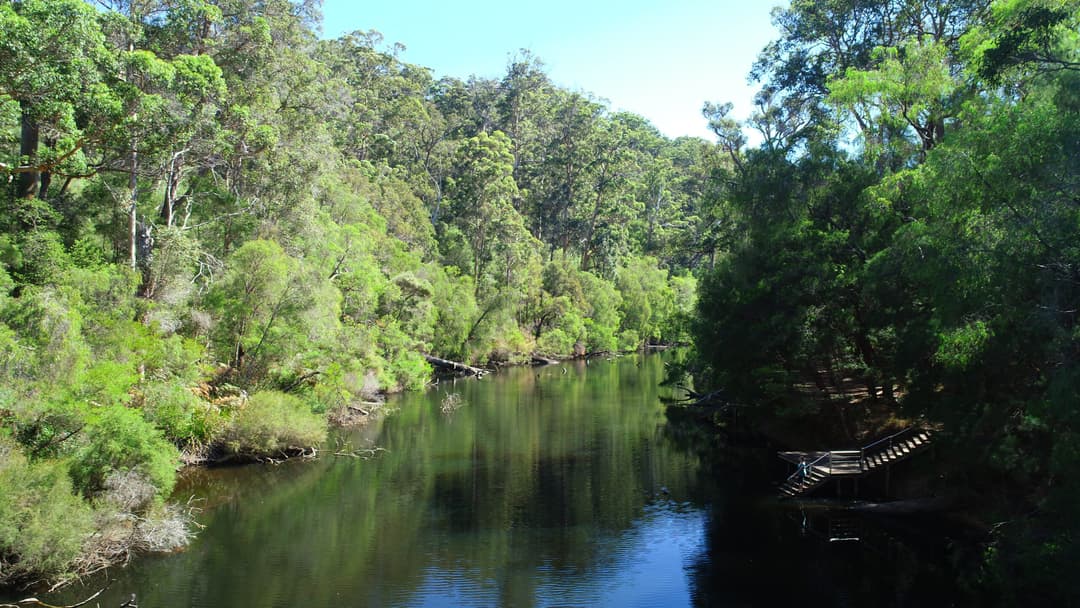 Djeran in Pemberton: Calm Nights, Camping, and Stargazing Under the Karri Canopy