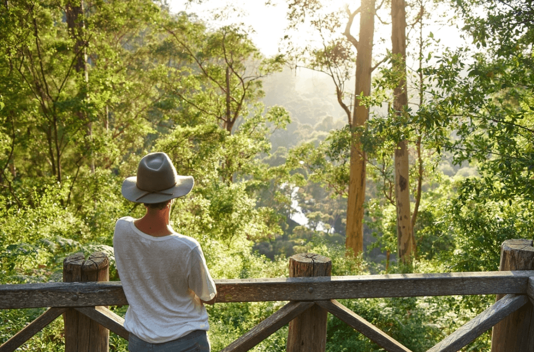 Experience Pemberton