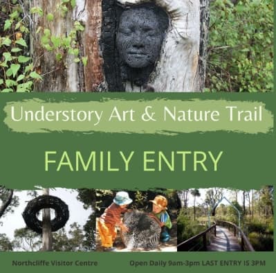 Southern Forest Arts: where nature, creativity and community come together